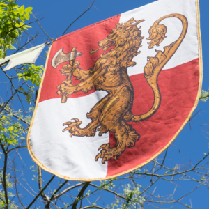 Why Were Coat of Arms Created? - image 5